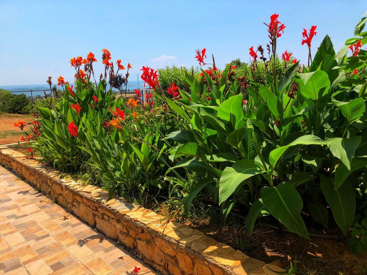 Вилла The Hillhouse Near Alexandroupolis Экстерьер фото