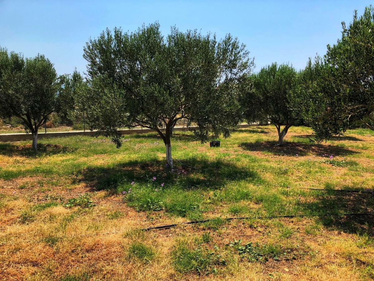 Вилла The Hillhouse Near Alexandroupolis Экстерьер фото